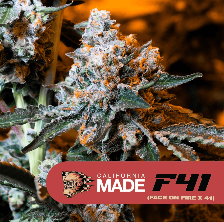 Made Flower 3.5g | I | Strawberry Runtz