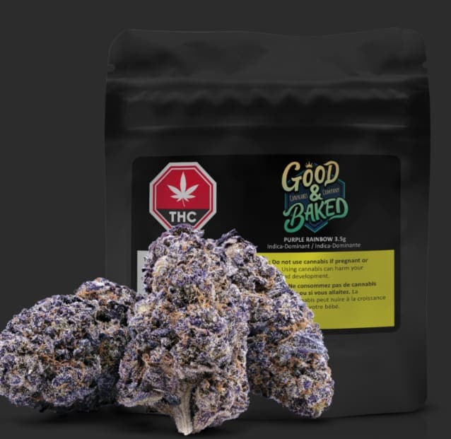 Good & Baked Purple Rainbow