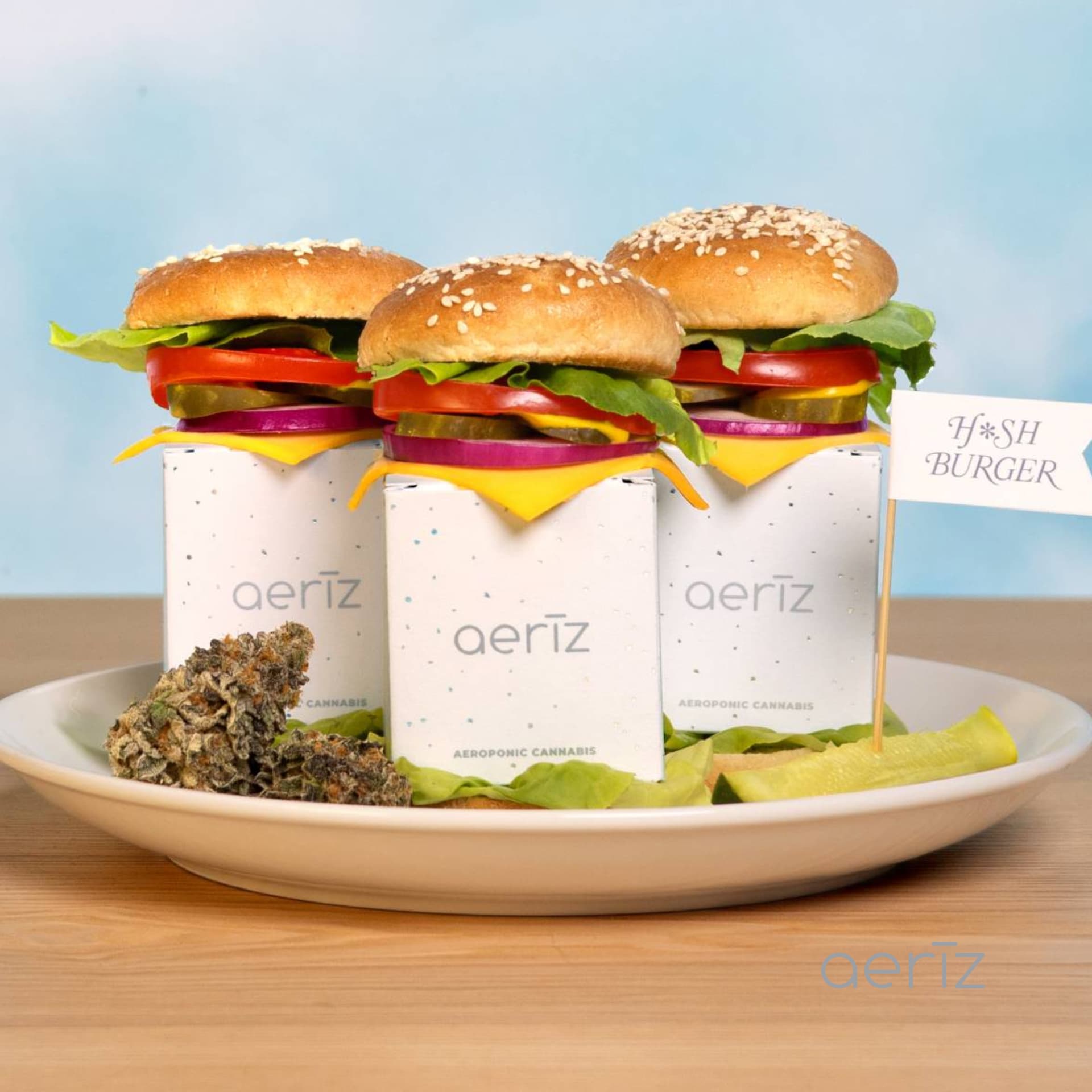 Aeriz Hashburger Flower