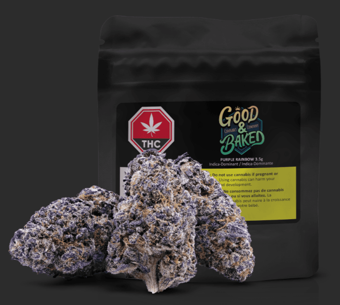 Good & Baked Purple Rainbow