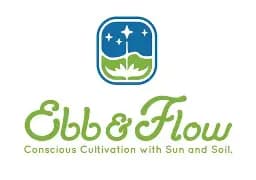 Ebb & Flow SUN LOUNGER