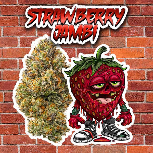 Lazy River Products Strawberry Jambi