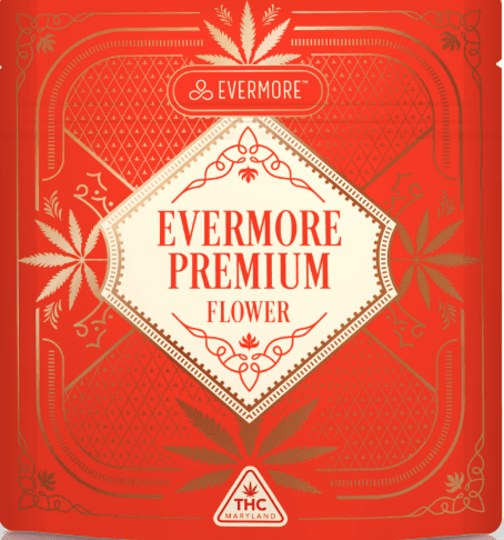Evermore Gumi 6