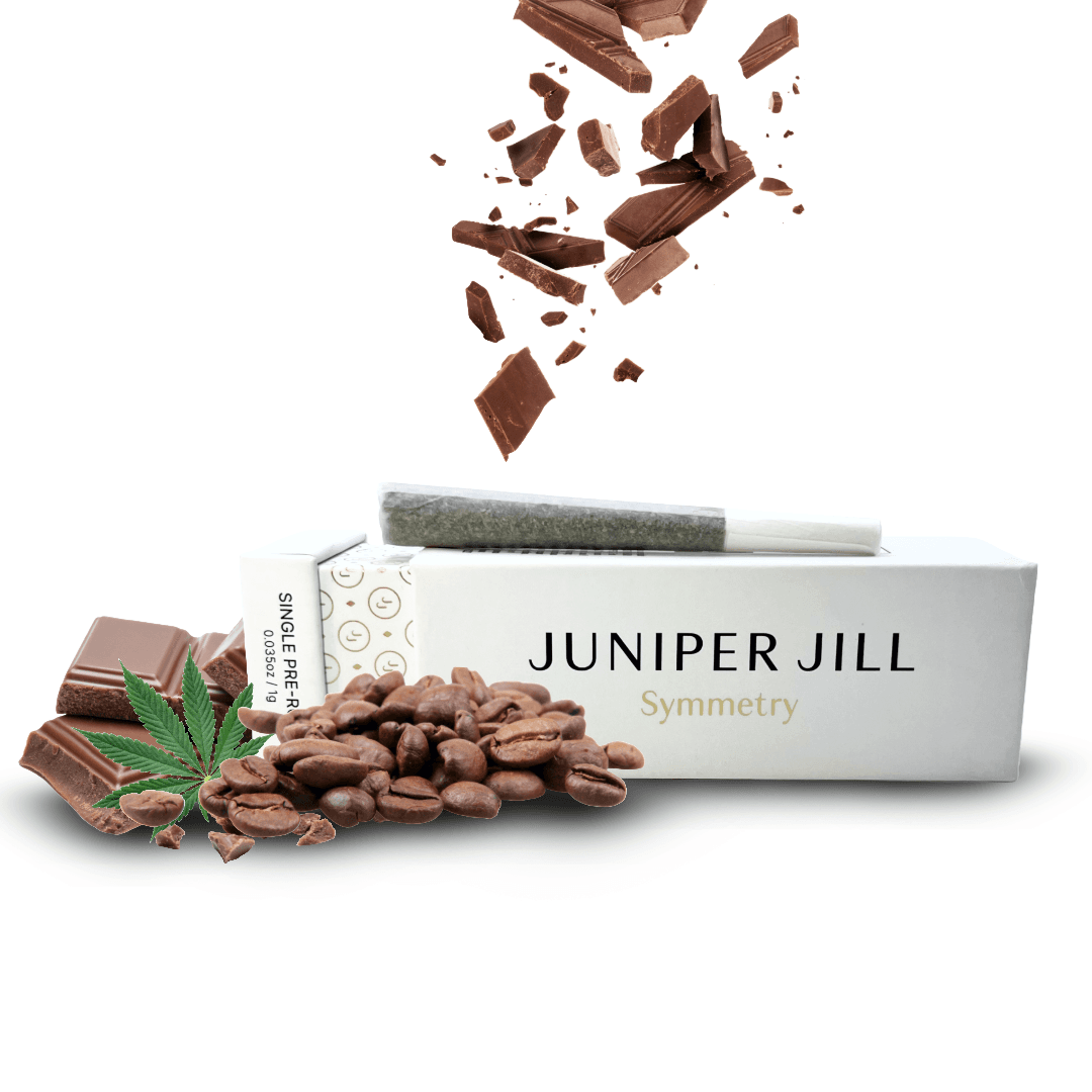 Juniper Jill Chocolope 2.0 6-pack Pre-Rolls