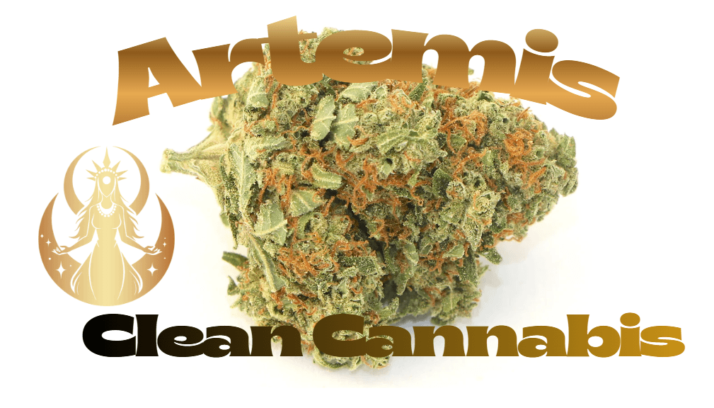 Clean Cannabis Company Artemis Flower Clean Cannabis