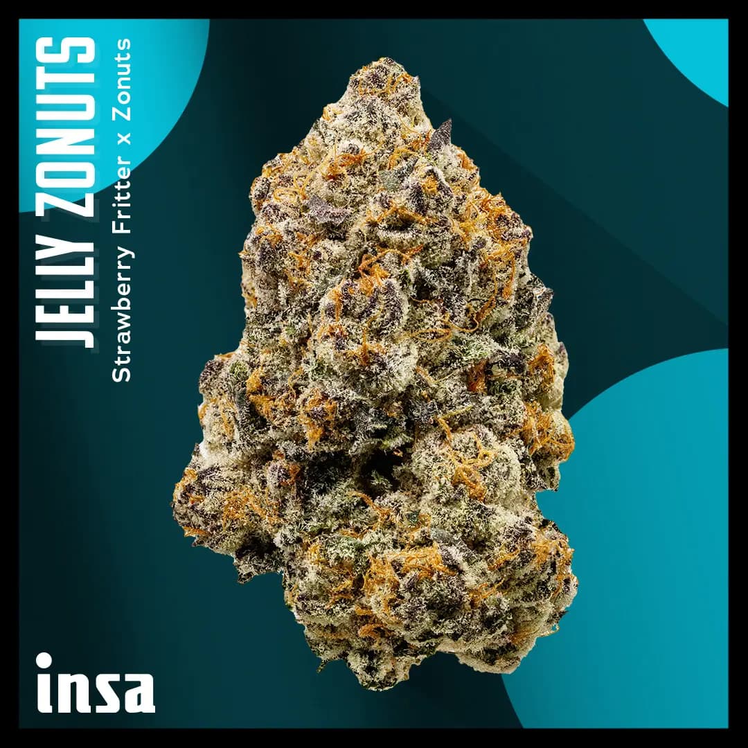 Insa 28g | Jelly Zonuts | INSA