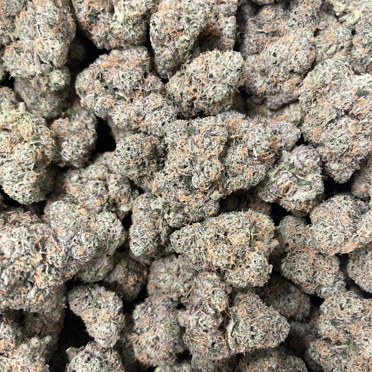 Grass Roots Marijuana