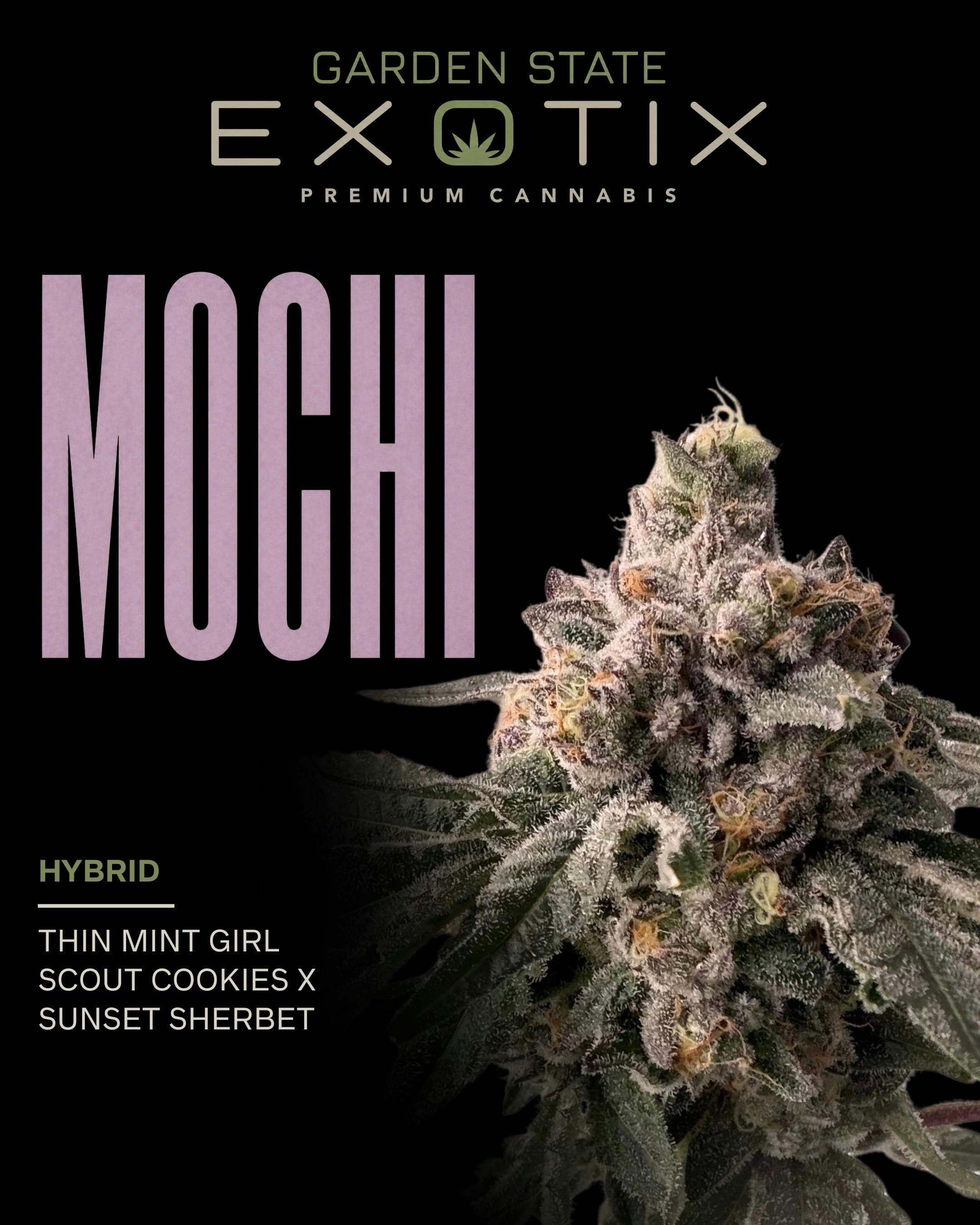 GARDEN STATE EXOTIX Mochi | 3.5g