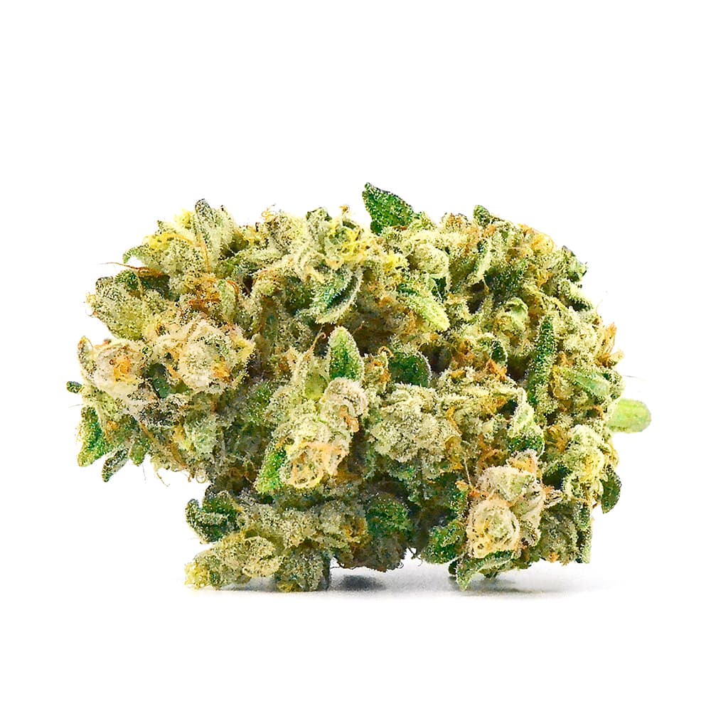 NATURE'S GRACE Gorilla Gruyere Flower [1g]