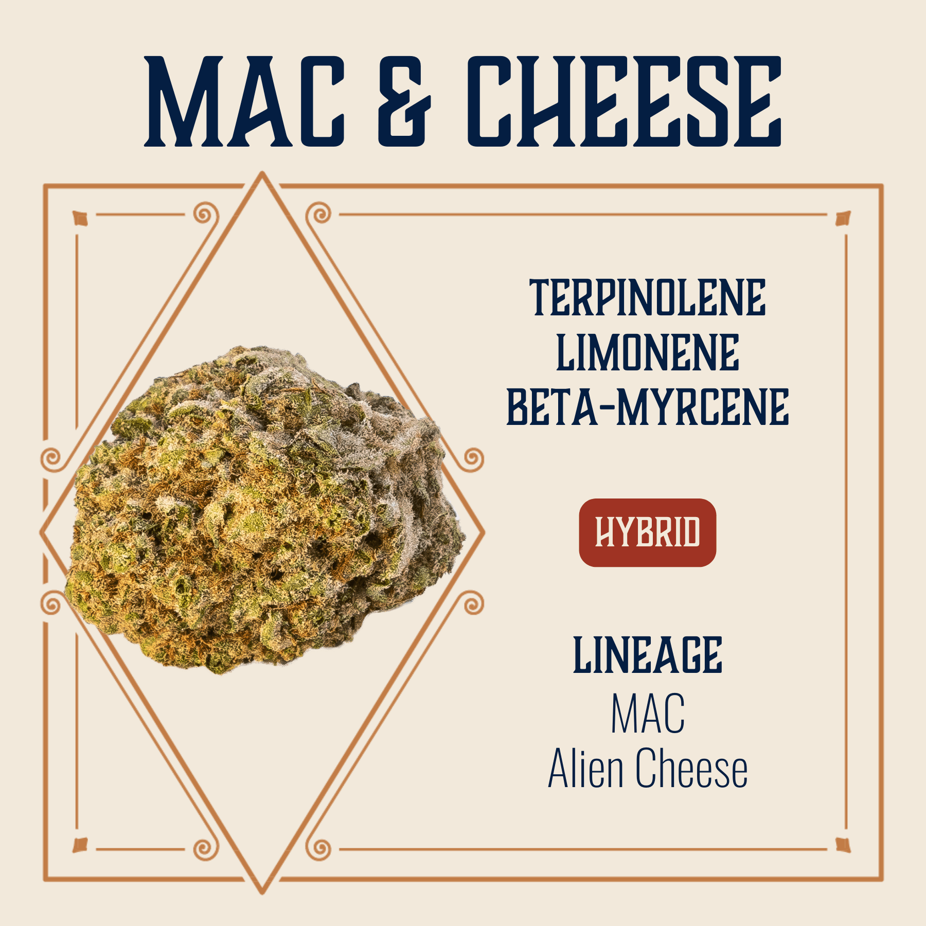 Elevate Mac & Cheese Flower | 3.5g