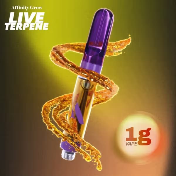 Affinity Amalfi Coast Live Terpene