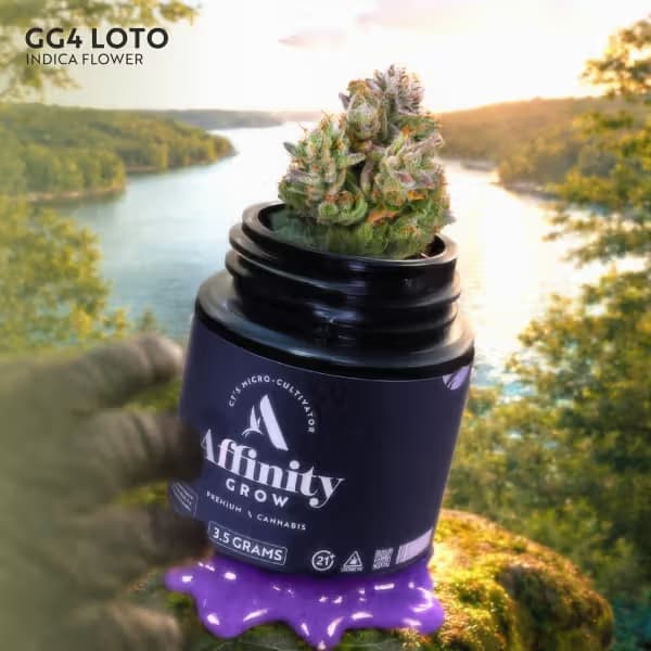 Affinity GG4 LOTO