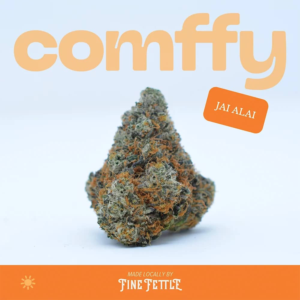 Comffy Jai Alai (S) Flower