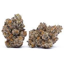 Cookies Cookies Flower 14g- Cheetah Piss