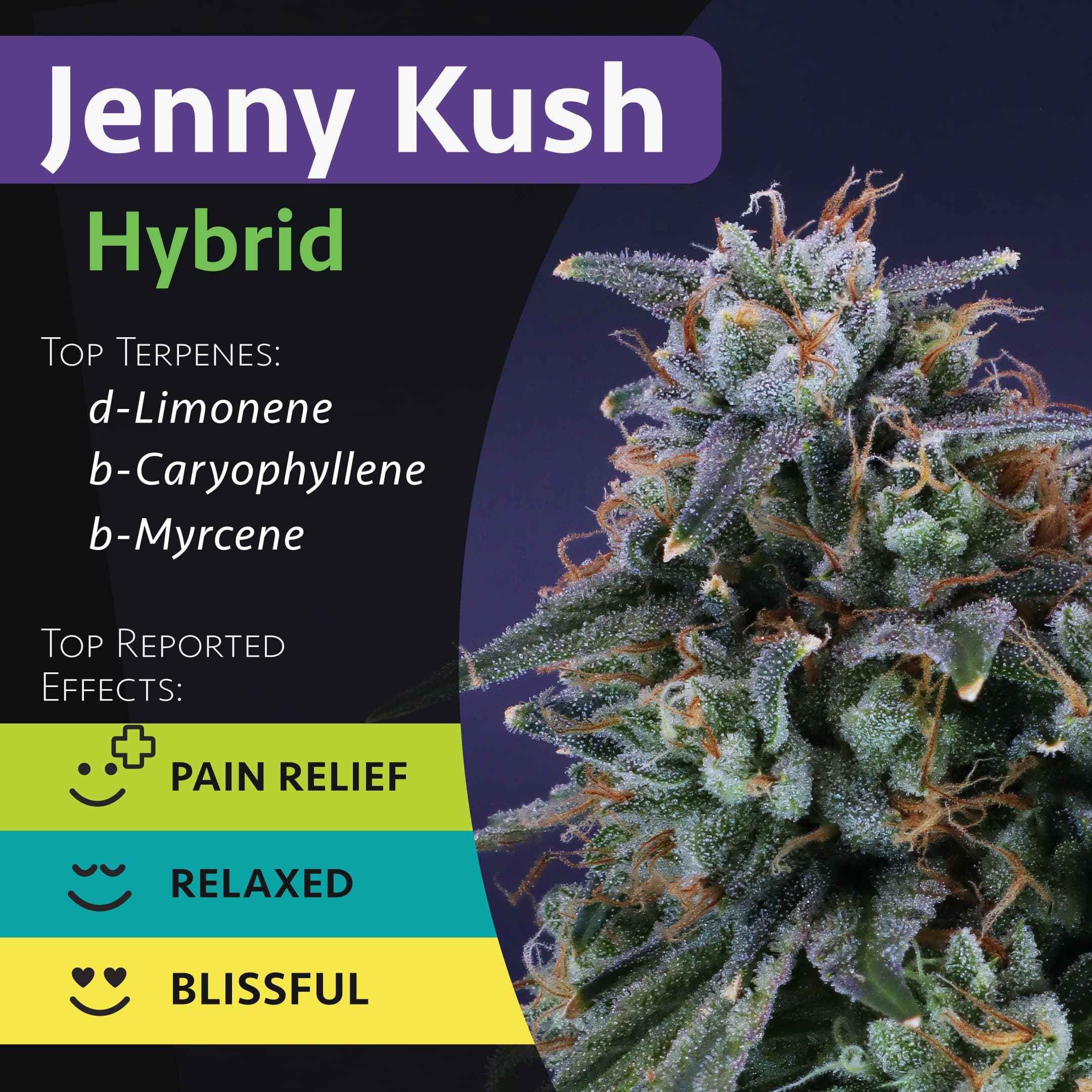 GraniteLeaf Cannabis Jenny Kush