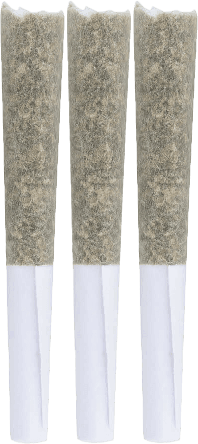 The Loud Plug