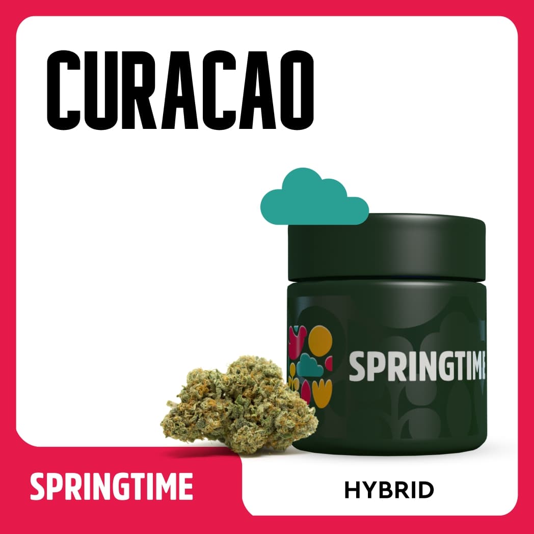 Spring Time