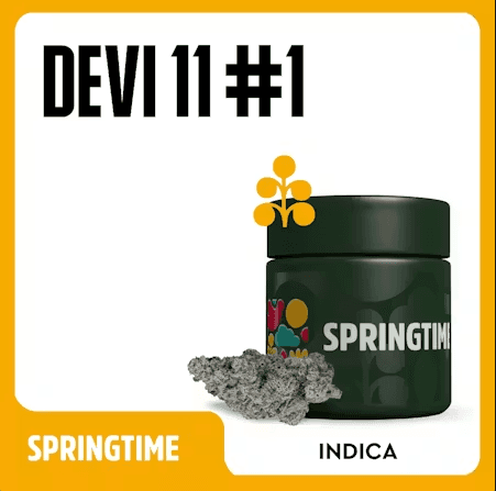 Spring Time