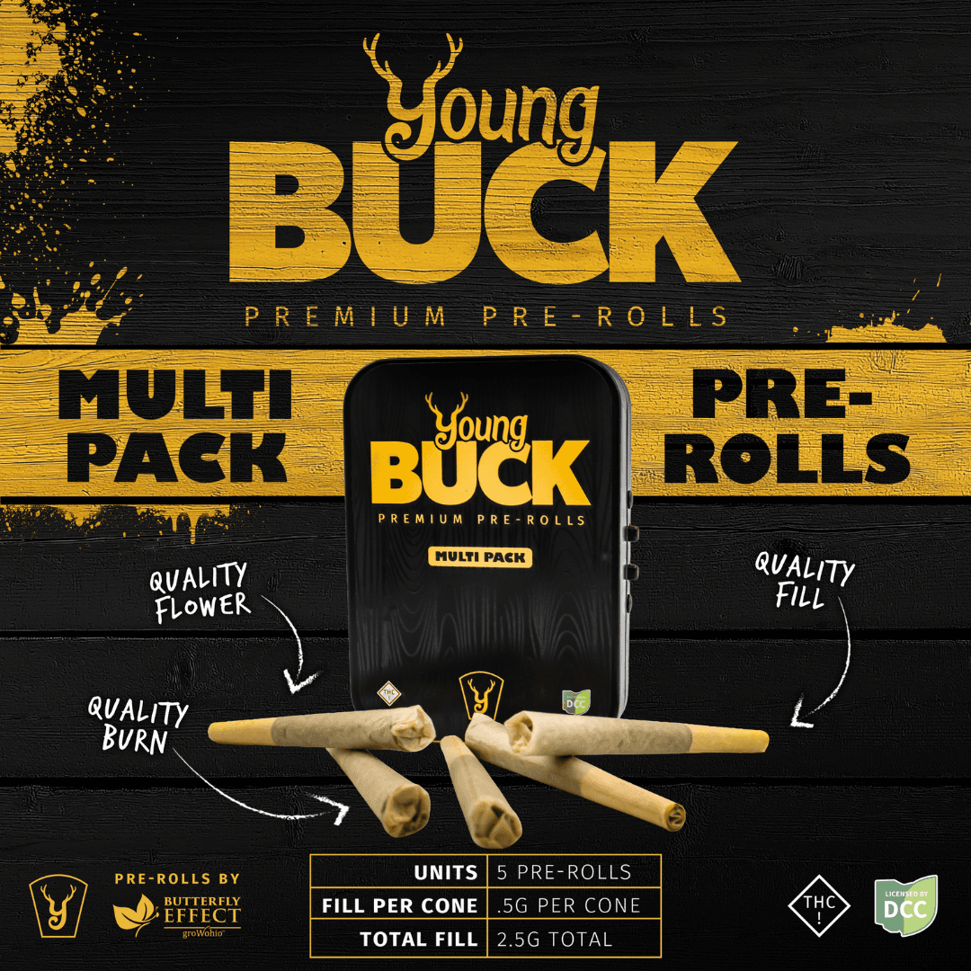 Young Buck Black Jack | 5pk 0.5g Prerolls