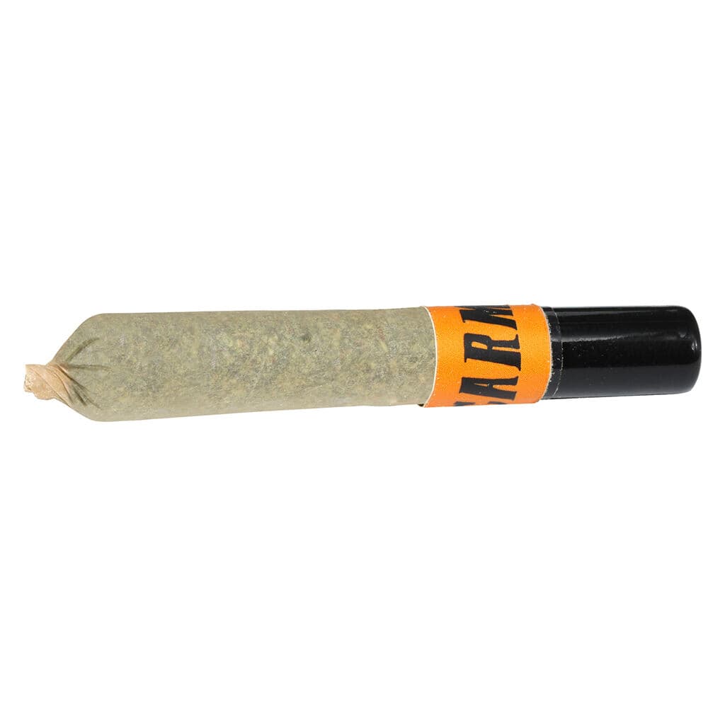 CARMEL 1x1g