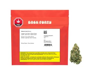Back Forty Galactic Jack - Back Forty - Dried Flower