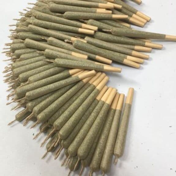 WALDEN CANNABIS