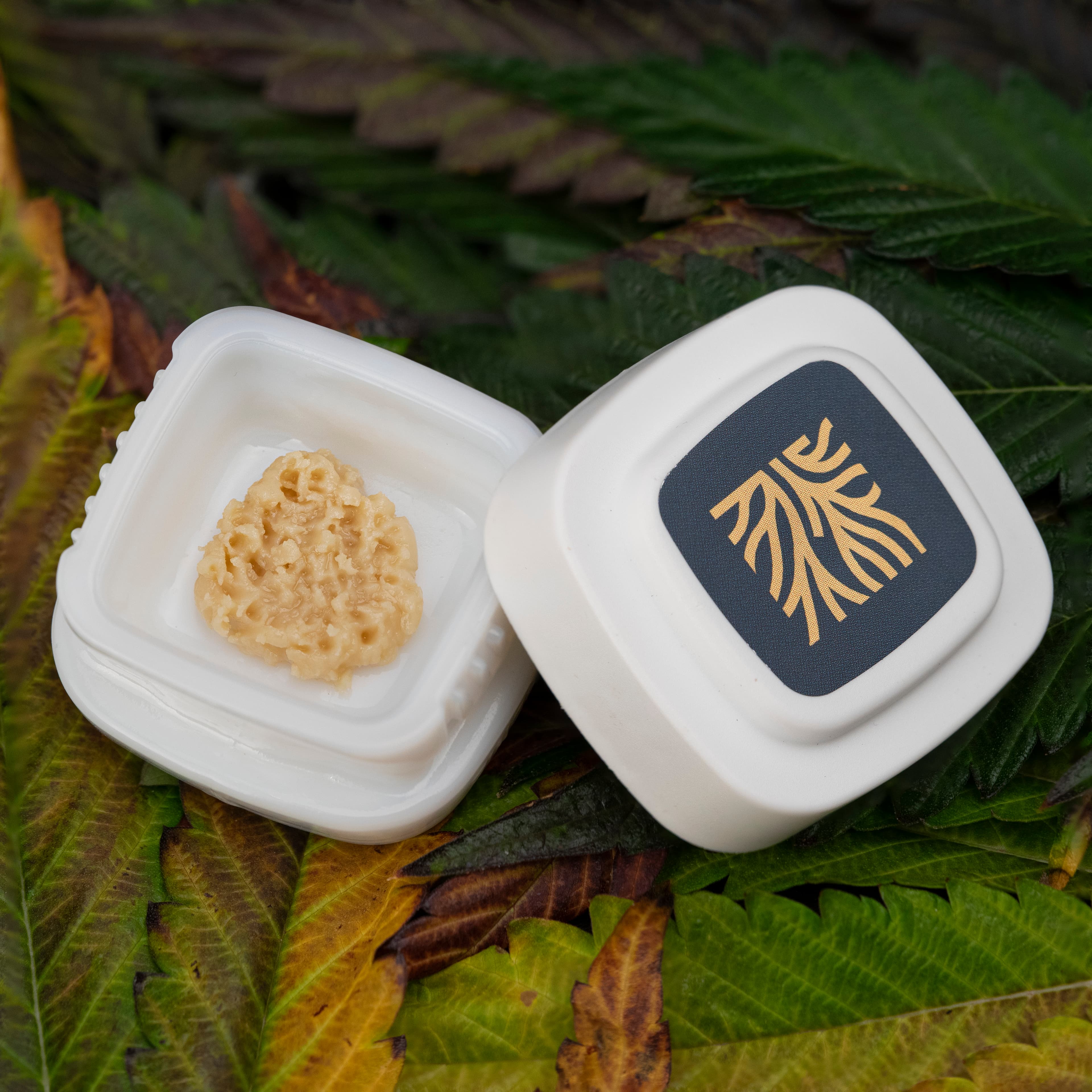 Local Roots Green River Garlic Live Hash Rosin | Local Roots |