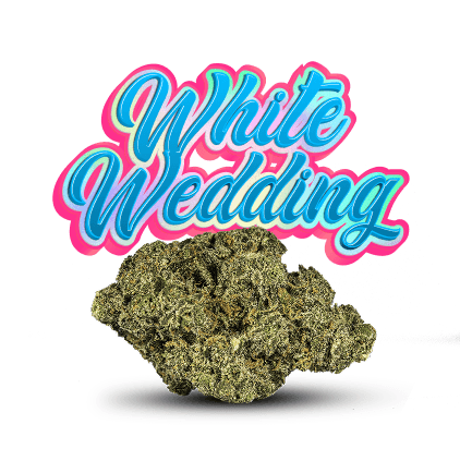 Fade Co. Holy Grail White Wedding | 3.5g