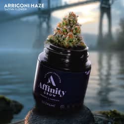 Affinity Arrigoni Haze