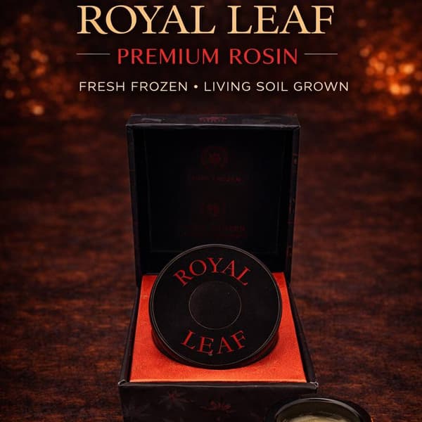 Royal Leaf Processed By Kalya | Guavaberry | Rosin | 2g