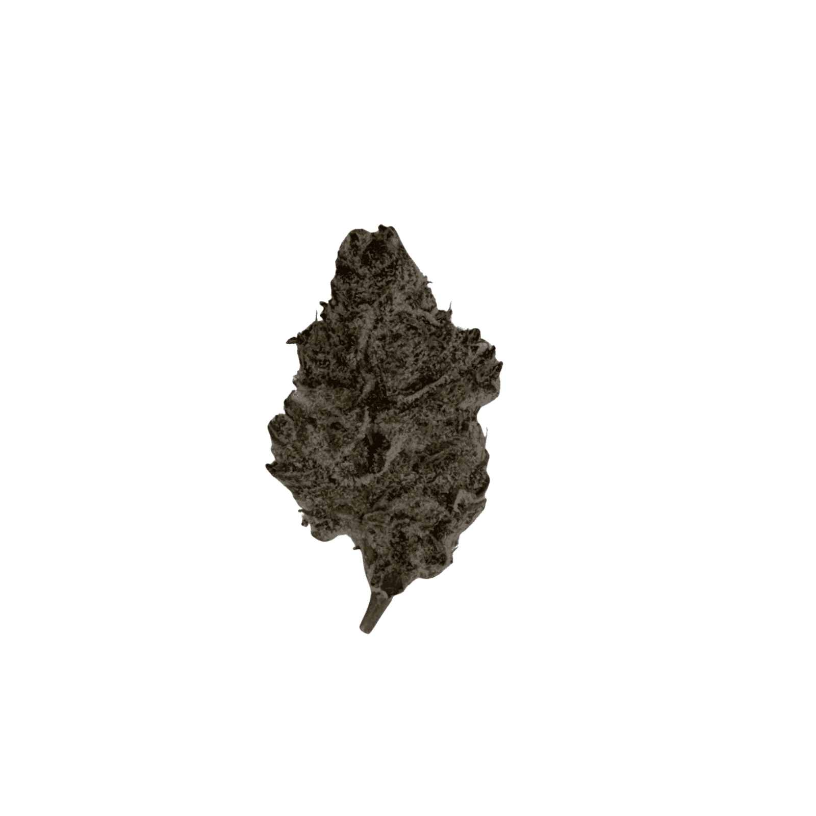 Oasis Cannabis