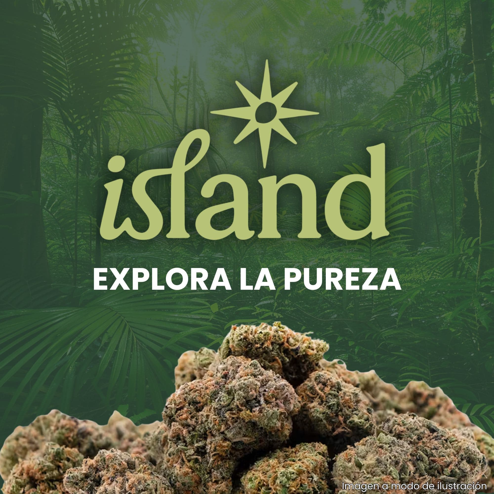 Island Miracle Glue Buds