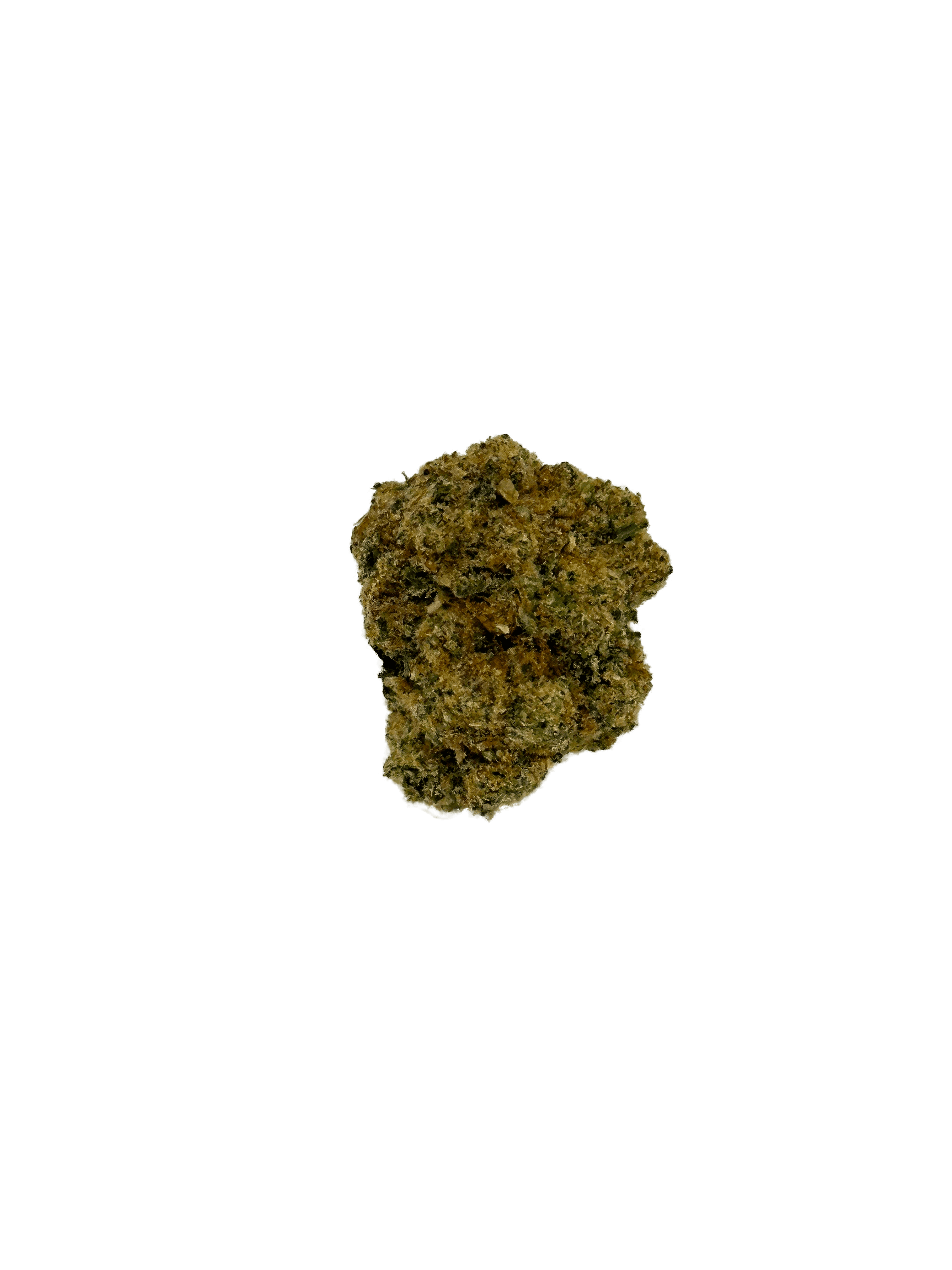 Host Cannabis Fortissimo