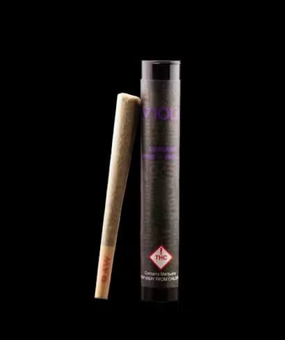Viola Viola - Pre-Roll - Face On Fire