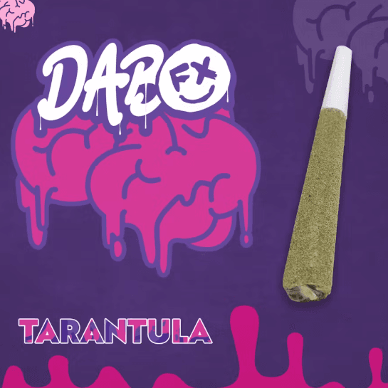 DabFX Melon Haze Infused Pre-Roll