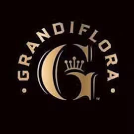 Grandiflora Genetics Grandiflora Single Joint | Blues Qlues