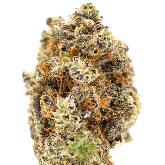 LOLO Tropical Trainwreck