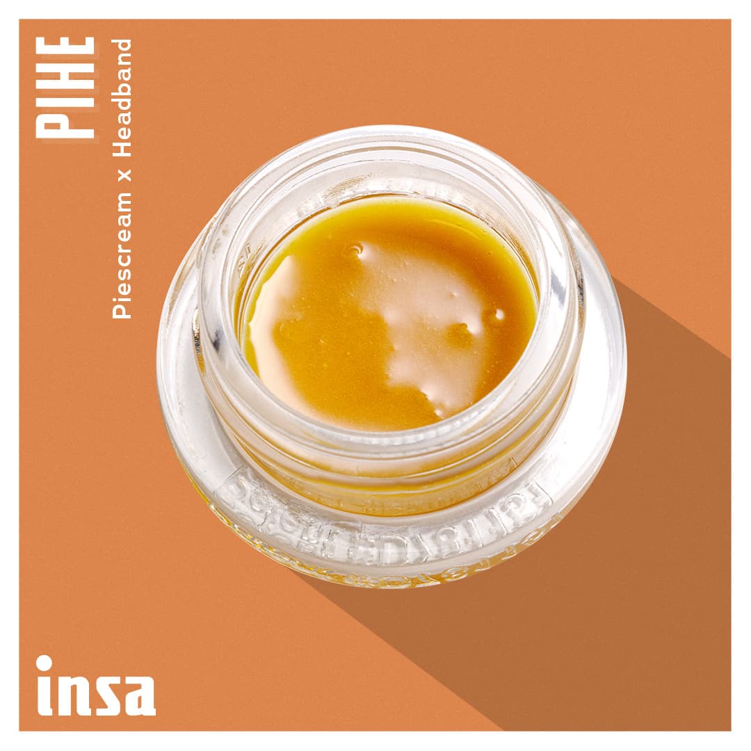 Insa Batter - Pi Head