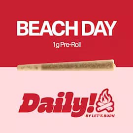 Daily