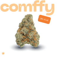Comffy Jai Alai (S) Flower