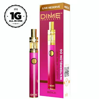 DIME Watermelon OG | Disposable | 1g