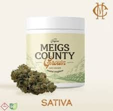 Meigs County Strawberry Guava