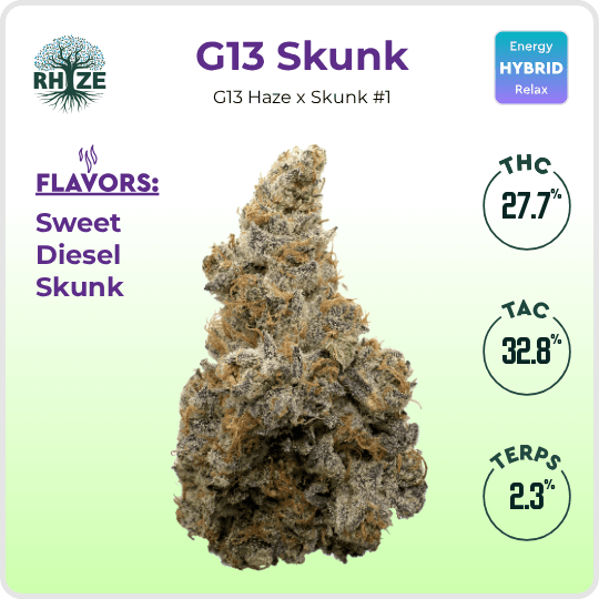Rhize G13 Skunk | Rhize