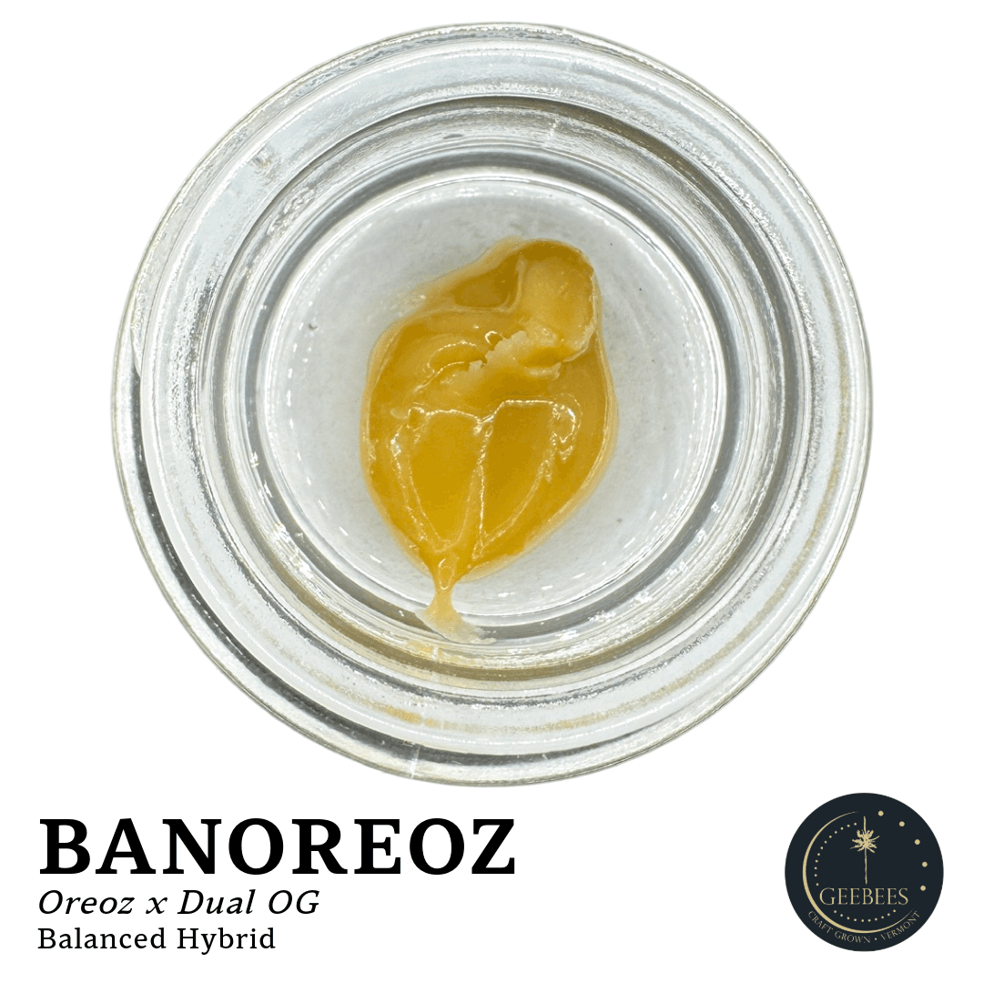 Geebees Banoreoz | 1g Live Rosin