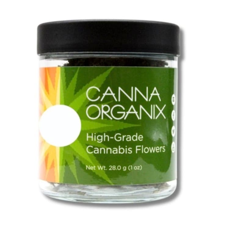 Canna Organix The Glue Flower (Canna Organix)