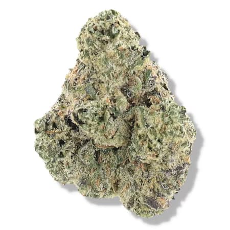 Molecular Farms Runtz | Pre-Packed