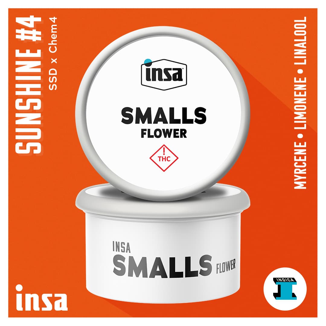 Insa Premium Smalls - Sunshine #4