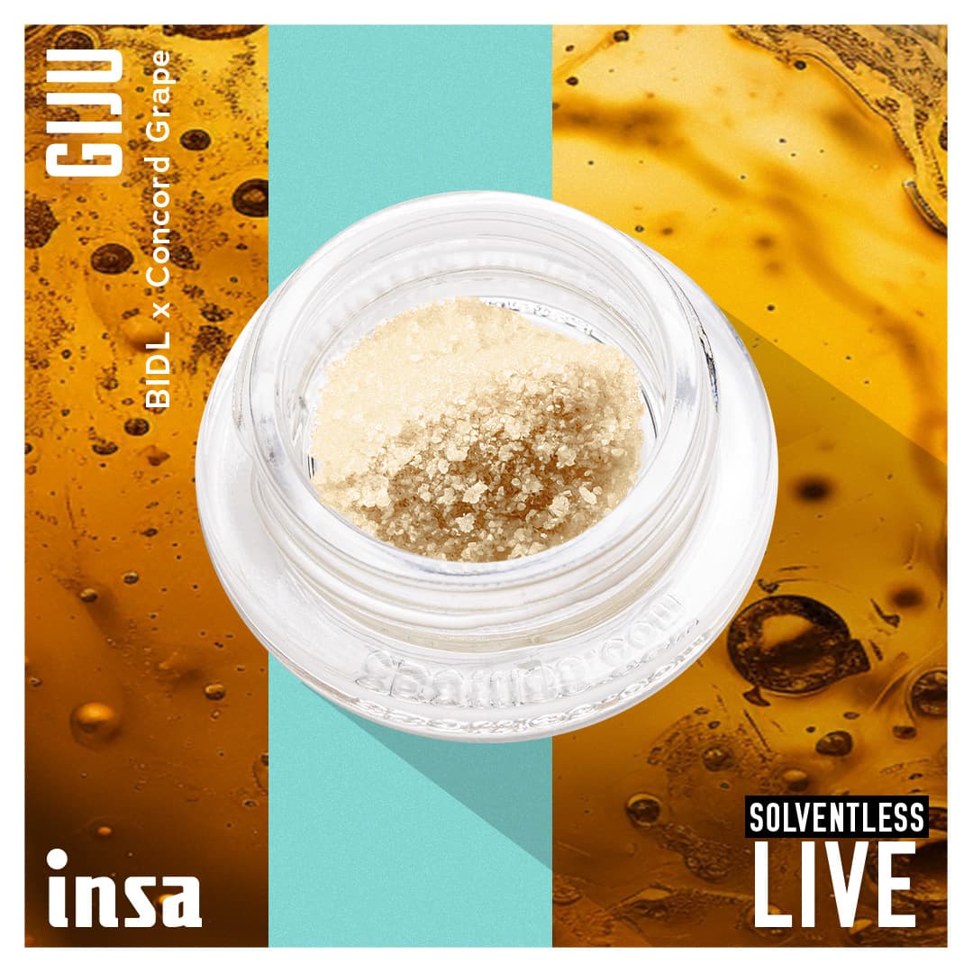 Insa Bubble Hash - GIJU
