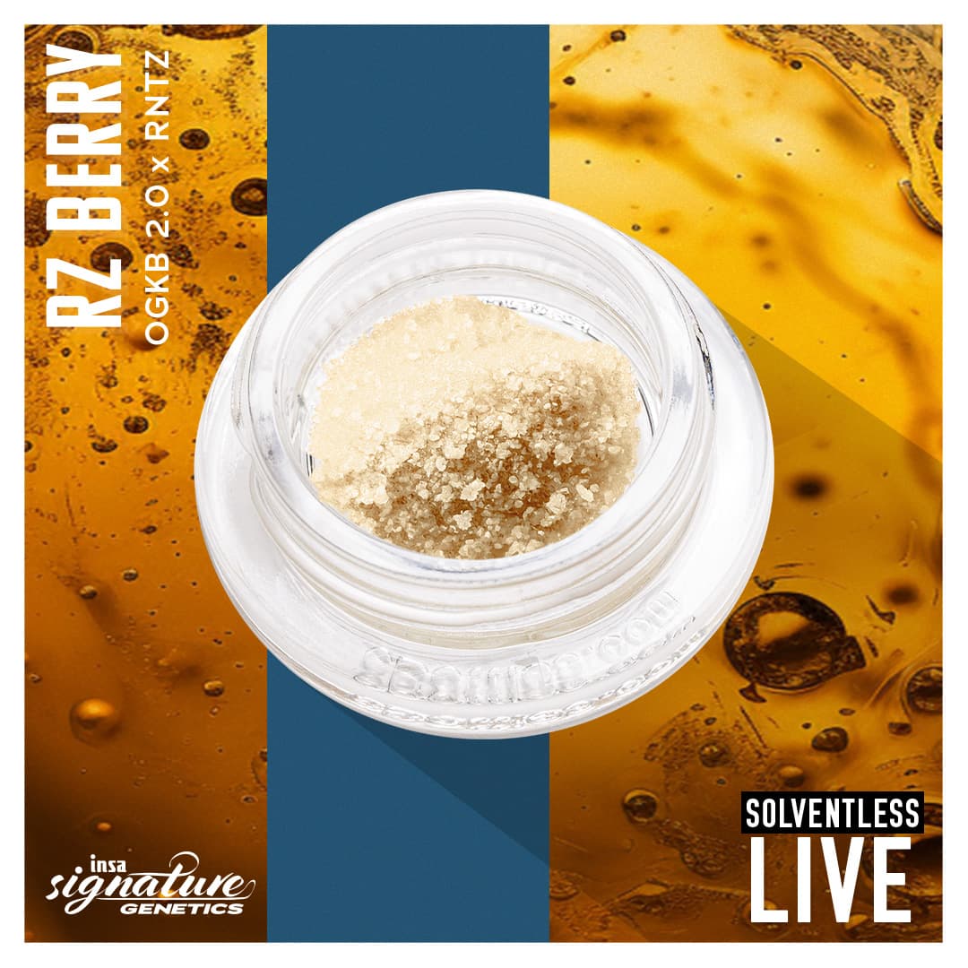 Insa Bubble Hash - RZ Berry