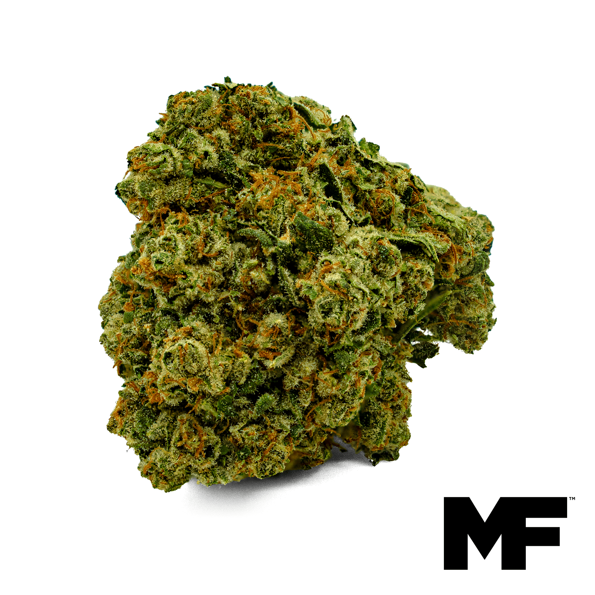 Modern Flower GMO HYBRID